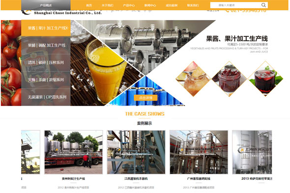  上海成洵实业 网页制作