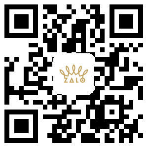 ZALO 网页设计手机站二维码
